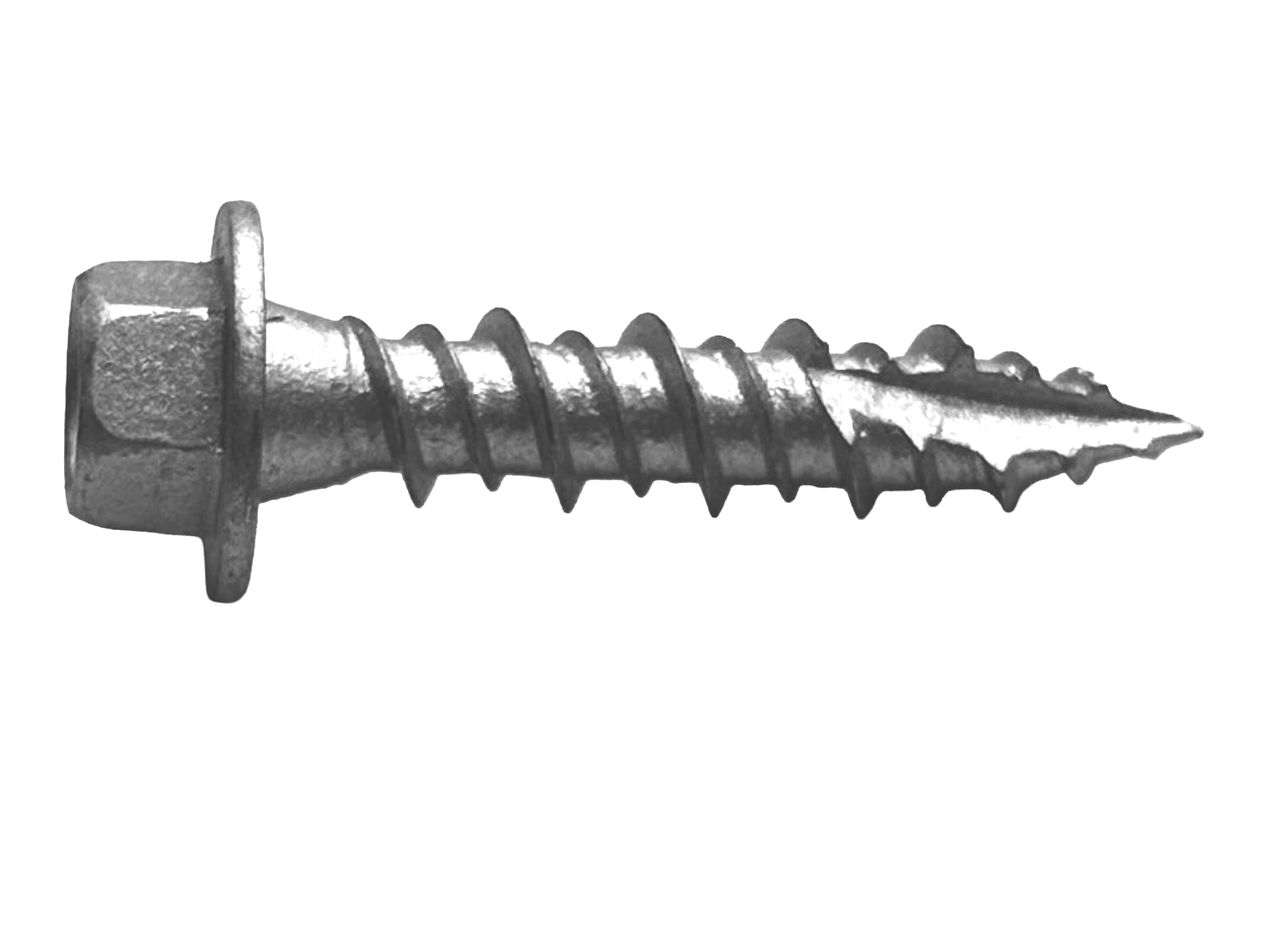 WildCat | Coilspot